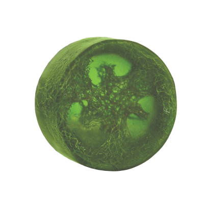 صابون لوفا آلوئه ورا