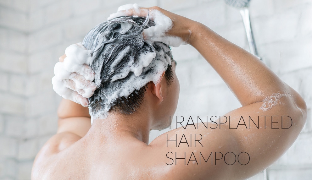 06 طب آفرین آذربایجان